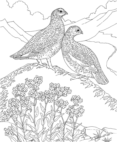 Willow Ptarmigan And Forget Me Not Flowers Alaska Bird And Flower Coloring Page